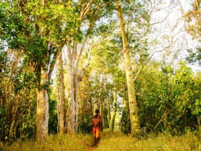Kaya Kinondo Sacred Forest