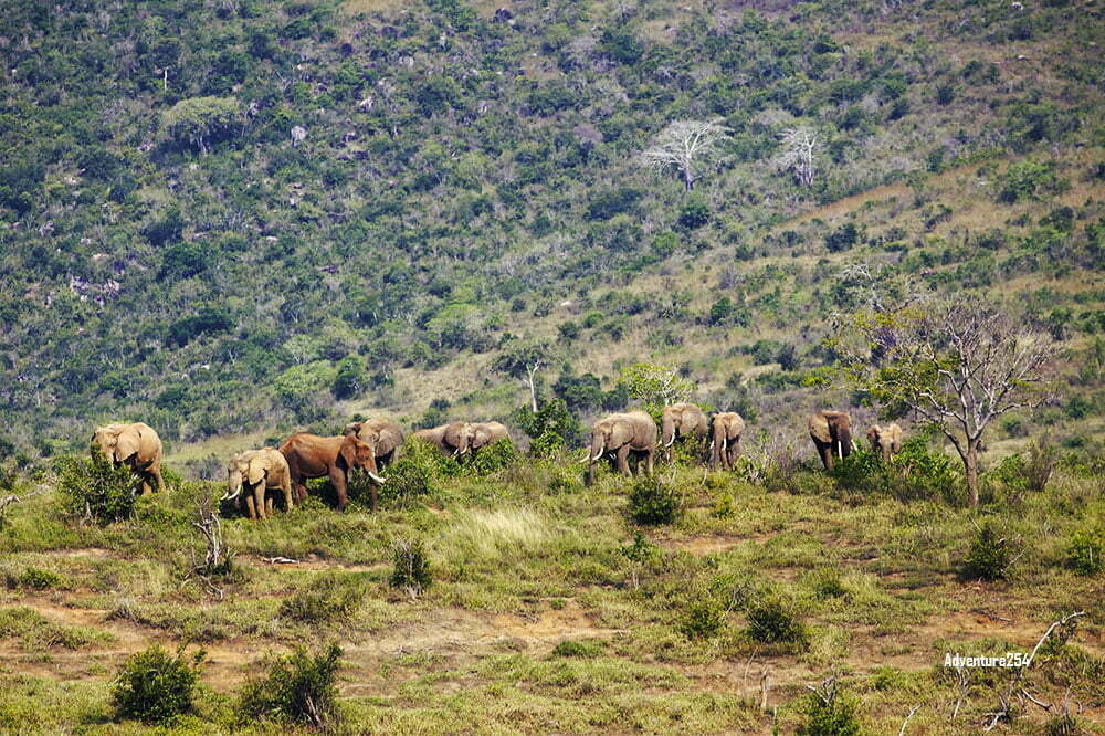 Mwaluganje Elephant Sanctuary 